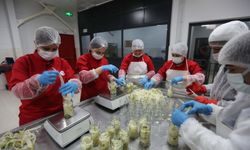 Efeler'in kadınları, sağlıklı ürünleri sofralara ulaştırıyor