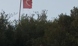 Efeler Şahnalı'da tepki çeken görüntü!