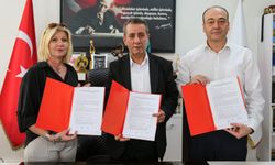 Efeler'de sokak kedileri kısırlaştırılacak