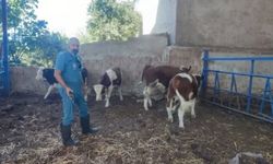 Aydınlı üreticilere önemli uyarı