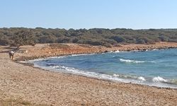 Didim’de göçmen faciası