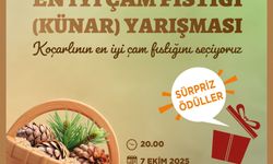 Koçarlı'da "En İyi Çam Fıstığı" Yarışması! Üreticiler Yarışacak, Sürpriz Ödüller Dağıtılacak!