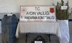 Buharkent’te 40 kök kenevir ele geçirildi