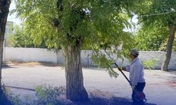 Çine’de okul bahçeleri yeni döneme hazır
