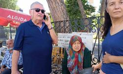 Efeler'de yaya geçidinde otomobil çarptı