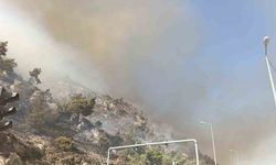 Söke’de makilik alan yangını