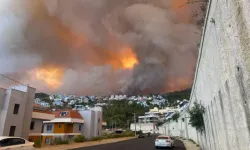 Alanya'daki yangın yerleşim yerlerine kadar ulaştı