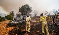Bursa’daki yangına müdahale sürüyor