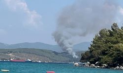 Bodrum’da orman yangını başladı