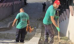 Efeler’i̇n eki̇pleri̇nden Zafer Mahallesi̇’nde kapsamlı çalışma