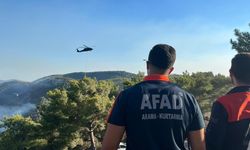 Alanya’da 400 hektar alan zarar gördü
