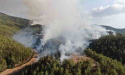 Kastamonu’daki orman yangınları ikinci gününde