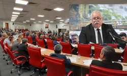 Aydın'da şoför esnafı, meclisi bekliyor