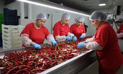 Efeler Belediyesi Kadın Emeği Tarımsal Ürün Fabrikası ürün çeşi̇tli̇li̇ği̇ artıyor