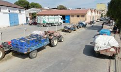 TARİŞ, Germencik'te incir alımlarını kapattı