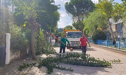 Efeler Belediyesi’nden Vatandaşlara Önemli Uyar