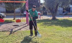 Efeler'de yeşil alanlarda bakım çalışmaları sürüyor