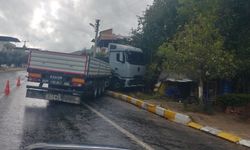Bozdoğan'da kaldırıma çıkan tır, ağaçları devirdi