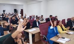 Efeler'de o alanlar içkili alan oldu