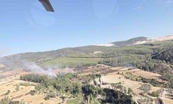 Bozdoğan'da çıkan yangın söndürüldü