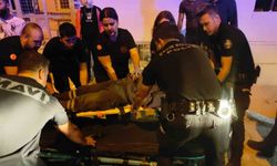 Kuşadası'nda eşinin eski kocası tarafından vuruldu