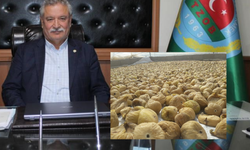 Kendirlioğlu: İncir'de fatura üreticiye kesildi