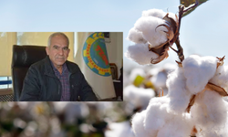"Bu yıl pamuk üreticisinin son yılı olur"