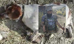 Nazilli'de avcılardan, 'köylüler köpeklerimizi öldürüyor' iddiası