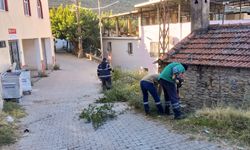 Efeler'in ekiplerinden ortak temizlik çalışması