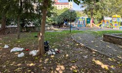 AK Partili Aydın BŞB'nin sorumluluğundaki park, kaderine terk edildi