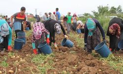 Köye dönüş için yeni teşvikler yolda