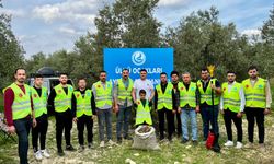 "TOPRAĞIN DİLİ TARIMDIR!" ÜLKÜCÜLER ZEYTİN HASADI YAPTI