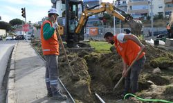 Kuşadası Belediyesi'nden Çevreye Duyarlı Peyzaj Uygulaması