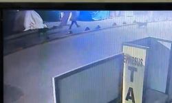 Kuşadası'nda sokak köpeğini vuran emekli astsubay serbest bırakıldı