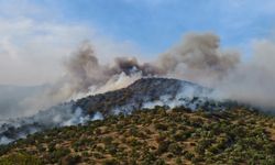 Bozdoğan Kavaklı'da orman yangını!