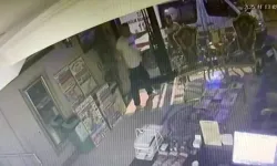 Böcek ailesinin otelde kilitli kaldıkları anlar ortaya çıktı!