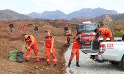 Aydın ormanlarında 'Yeşil Vatan' seferberliği