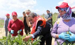 Efeler Belediyesi'nin "Topraktan Tabağa" projesi Türkiye'ye örnek oldu