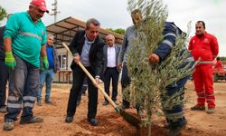 Başkan Yetişkin’den Efeler’e yeşil dokunuş