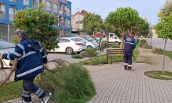 Efeler’de yeşil alanlarda bakım ve budama çalışmaları sürüyor