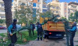 Efeler'in ekipleri yeşil alan çalışmalarını sürdürüyor