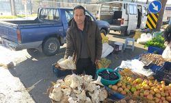 Paşa Yaylası'nın Efsane Mantarları Tezgaha Indi: Kilosu Sadece 100 Tl, Tek Parça Bir Öğünlük!