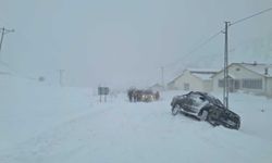 Artvin'de çığ felaketi! 3 çoban aranıyor!