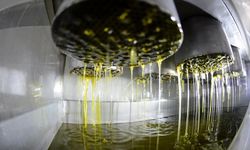 Aydın'da zeytinyağı fiyatları açıklandı