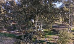 Efeler'in ekipleri Tepecik mesire alanında