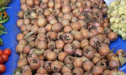 Muşmula vatandaşlardan ilgi görüyor