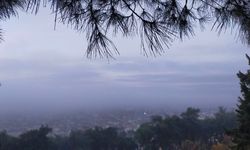 Aydın’da Puslu Sabah Manzaraları Kartpostallık Görüntüler Oluşturdu