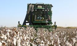 Üreticilere Kritik ÇKS Hatırlatması: Başvurular İçin Son Tarih Yaklaşıyor