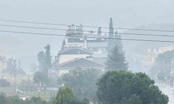 Bozdoğan sise teslim oldu