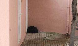 Efeler'de camii avlusunda şüpheli çanta paniği